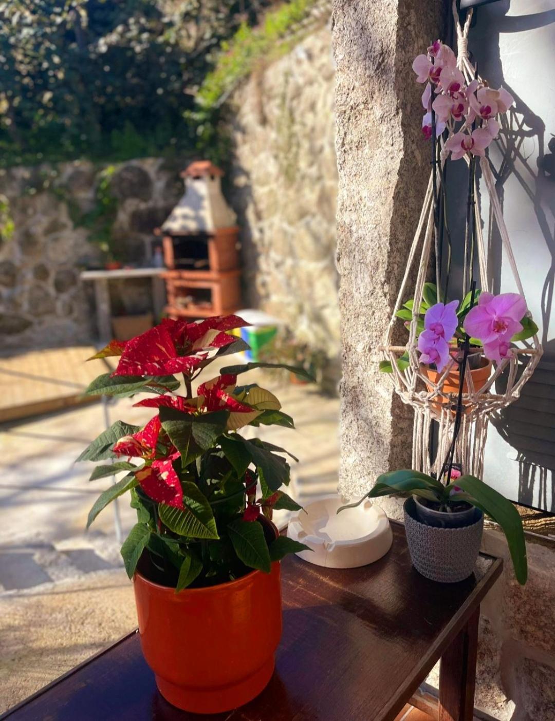 Casa Da Quinta Costa D'alem Geres Hébergement de vacances Terras de Bouro
